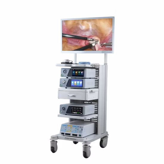 Système d'évacuation des fumées pour la chirurgie mini-invasive